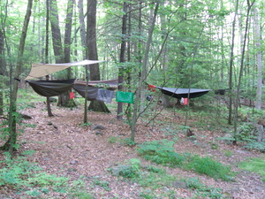 Appalachian Trail Louis', Gary's, & Jamie's Hammocks at Brink Road Shelter