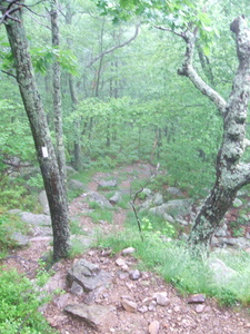 Appalachian Trail 