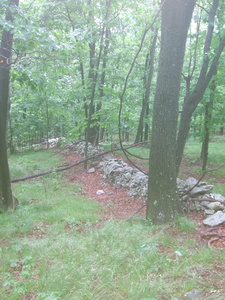 Appalachian Trail Stone wall