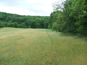 Appalachian Trail AT crossing field