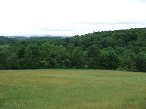 Appalachian Trail Field