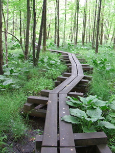 Appalachian Trail 