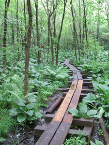 Appalachian Trail 