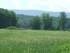 Appalachian Trail Marsh, Walkill River Wildlife Preserve (41.237153, -74.473021)