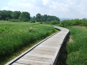 Appalachian Trail Walkill River Wildlife Preserve (41.237153, -74.473021)