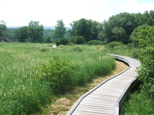 Appalachian Trail Walkill River Wildlife Preserve (41.237153, -74.473021)