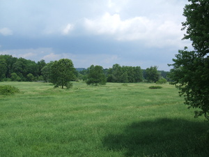 Appalachian Trail Marsh, Walkill River Wildlife Preserve (41.237153, -74.473021)