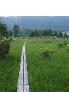 Appalachian Trail Walkill River Wildlife Preserve (41.237153, -74.473021)