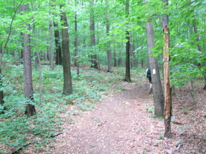 Appalachian Trail 