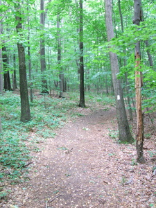 Appalachian Trail 