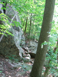 Appalachian Trail 