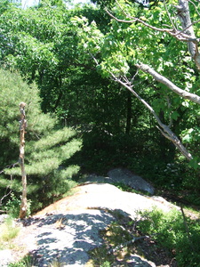 Appalachian Trail 