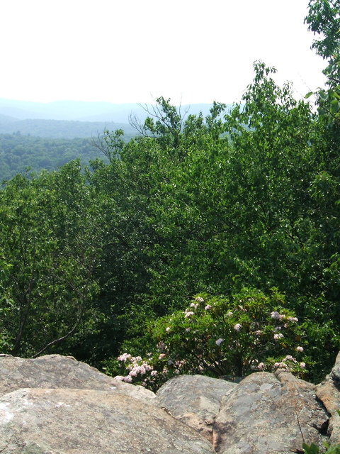 Appalachian Trail - 