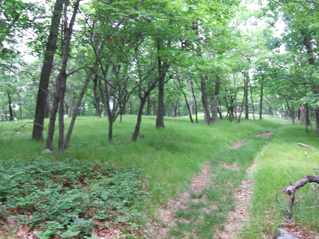 Appalachian Trail - 