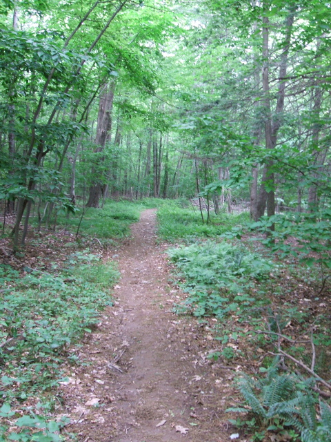 Appalachian Trail - 