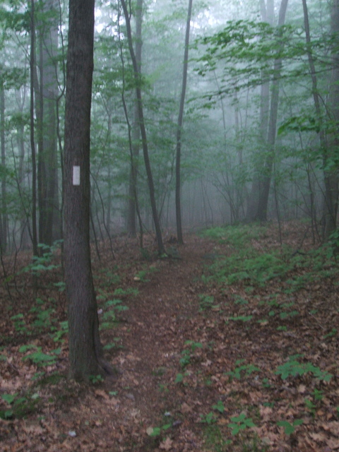 Appalachian Trail - 