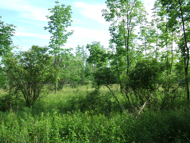 Appalachian Trail - 