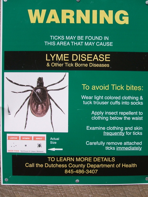Appalachian Trail - Wrong size deer tick