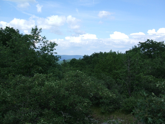 Appalachian Trail - 
