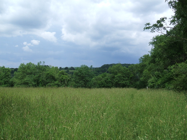 Appalachian Trail - Meadow