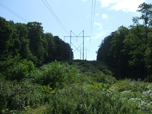 Appalachian Trail Powerline (42.575809, -73.170151)