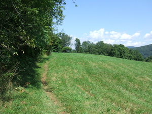 Appalachian Trail Beside farmer's field
