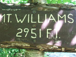 Appalachian Trail Mount Williams, Elevation 2951 feet