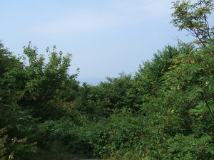 Appalachian Trail 