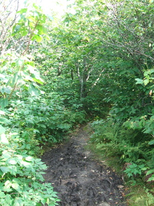 Appalachian Trail 