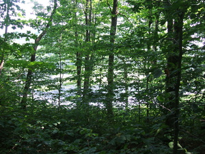 Appalachian Trail 