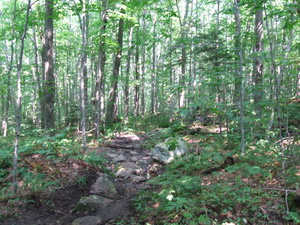 Appalachian Trail 