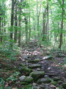 Appalachian Trail 