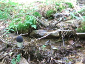 Appalachian Trail Sound Recording