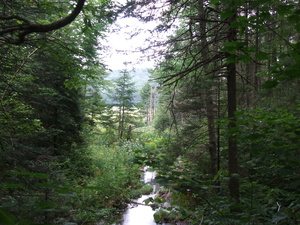 Appalachian Trail 