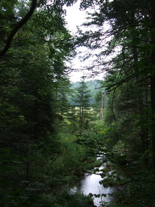 Appalachian Trail 