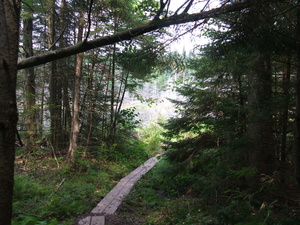 Appalachian Trail 