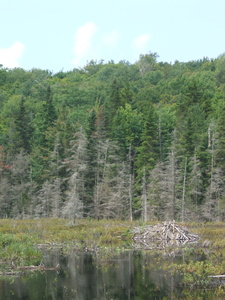 Appalachian Trail Bever Lodge