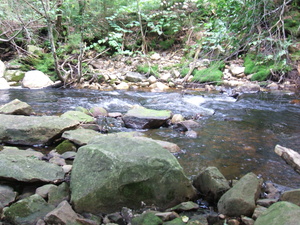 Appalachian Trail 