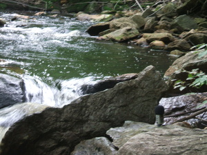 Appalachian Trail 