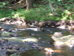 Appalachian Trail Sound Recording