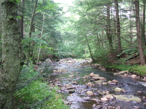 Appalachian Trail 