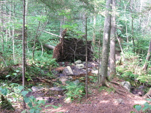 Appalachian Trail Tree down