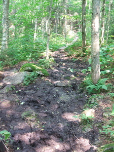 Appalachian Trail Muddy