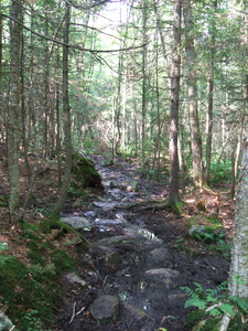 Appalachian Trail Muddy