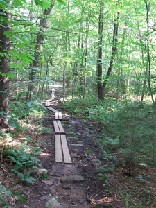 Appalachian Trail 