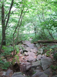 Appalachian Trail 