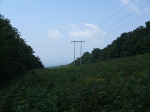 Appalachian Trail Powerline (42.893293, -73.094564)