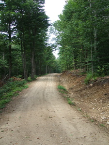 Appalachian Trail Old Ville Road(?)