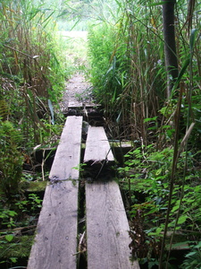 Appalachian Trail 