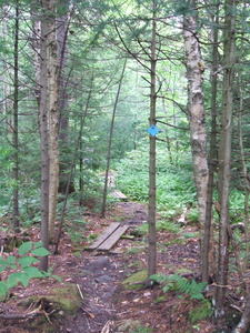 Appalachian Trail 